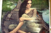 IMG_0490 IMG_0490