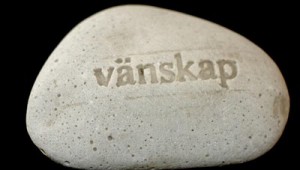 v_nskap