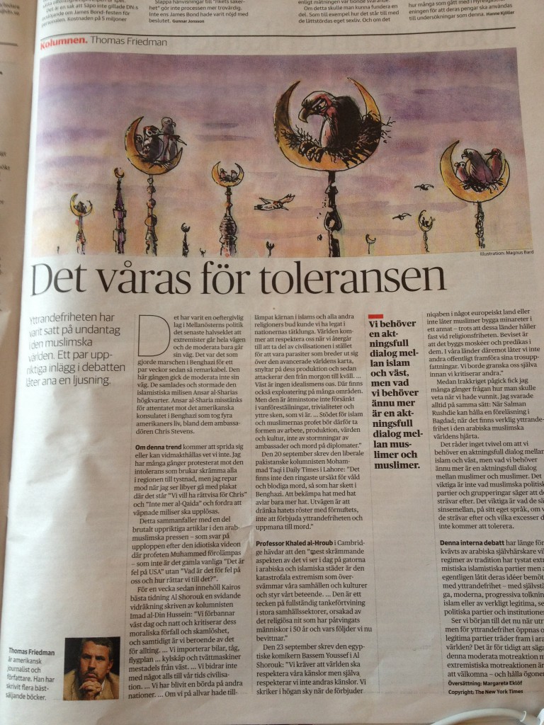 Längtan efter tolerans. Renew Magazine.