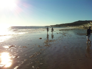 Malibu Beach. Vilket underbart ställe. Lyxhus på stranden. Det kan knappast bli bättre.