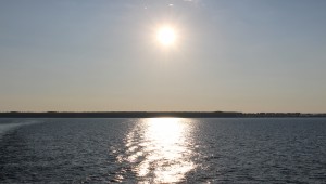 IMG_1758